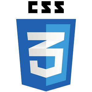 CSS Logo